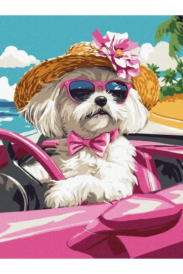 Malowanie po numerach - Różowy samochód