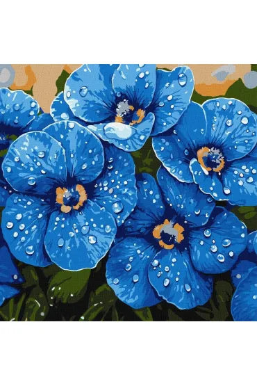 Malowanie po numerach - Fiołki w rosie
