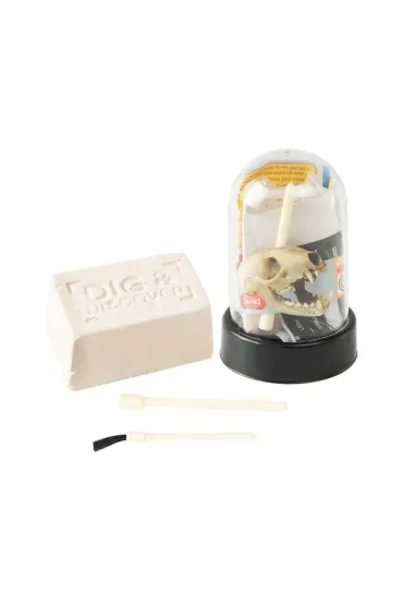 Wykopaliska Czaszki Zwierząt Paleontolog Zestaw Naukowy | 6+