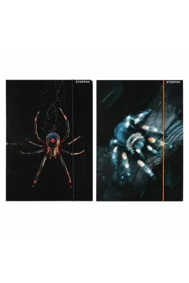 Teczka z gumką A4 Pająk mix