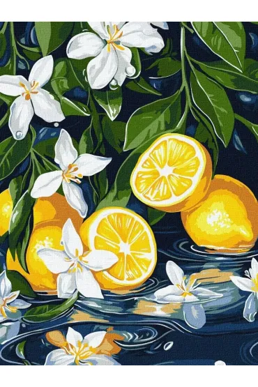 Malowanie po numerach - Cytryna w przekroju