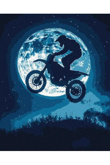 Malowanie po numerach - Nocny szał