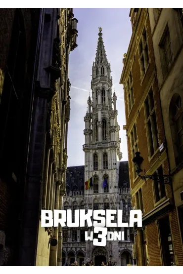 Bruksela w 3 dni