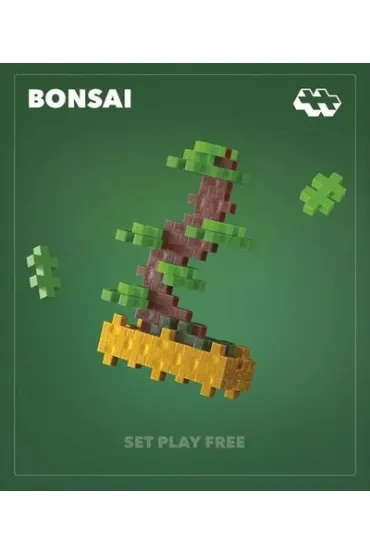  Zestaw Plant Pack Roślinki - Bonsai Larch Larix