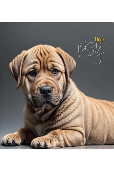 Kalendarz 2026 ścienny 32x32cm Psy