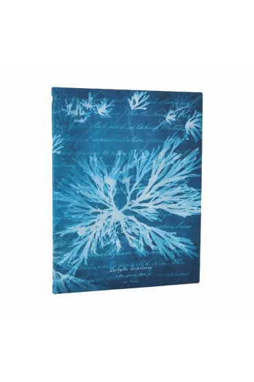 Notatnik linia Sea Flowers ultra