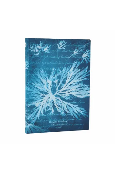 Notatnik linia Sea Flowers midi