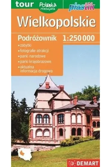 Wielkopolskie. Podróżownik 1:250 000