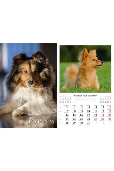 Kalendarz ścienny 2026 Psy