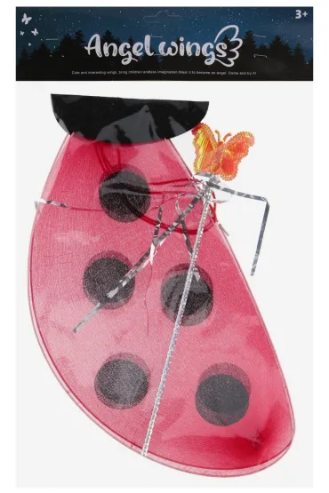 Zestaw piękności Skrzydła Biedronki MEGA CREATIVE 571704