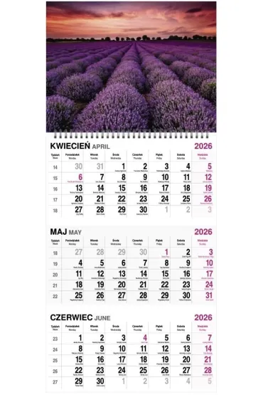 Kalendarz 2026 trójdzielny na spirali MIX