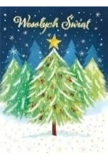 Karnet B6 Boże Narodzenie - Choinka w lesie