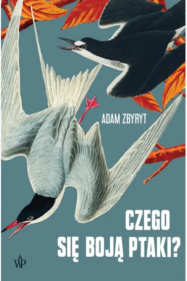 Czego się boją ptaki?