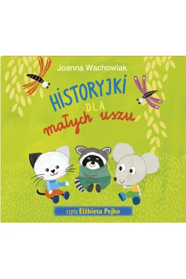CD MP3 Historyjki dla małych uszu
