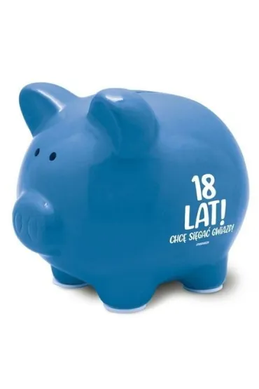 Skarbonka Pastel-18-stka chłopak