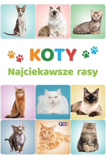 Koty. Najciekawsze rasy