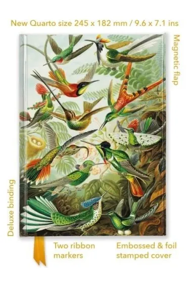 Notatnik quatro linia TW Kolibry Ernst Haeckel