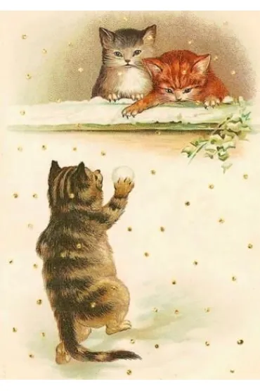 Karnet B6 brokat z kopertą Koty Wojna na śnieżki