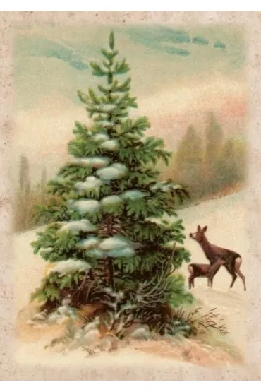 Karnet ST486 B6 + koperta Święta Choinka i sarny