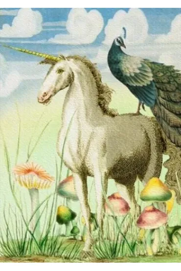 Karnet B6 z kopertą Jednorożec i paw