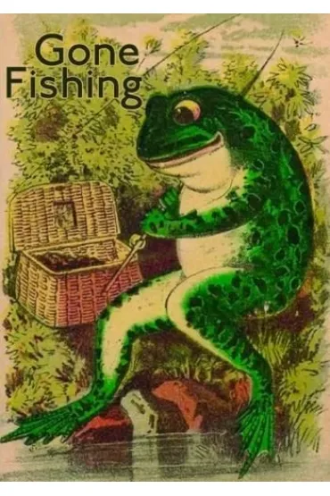 Karnet B6 z kopertą Żaba na rybach