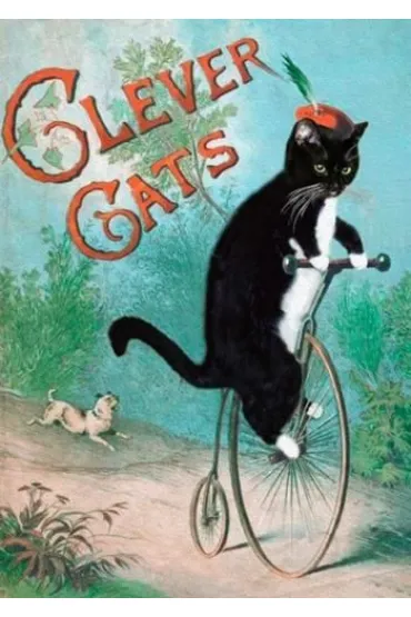 Karnet B6 z kopertą Mądre koty