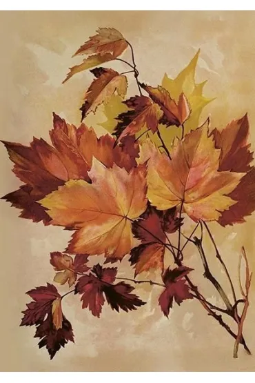 Karnet ST515 B6 + koperta Jesienny klon