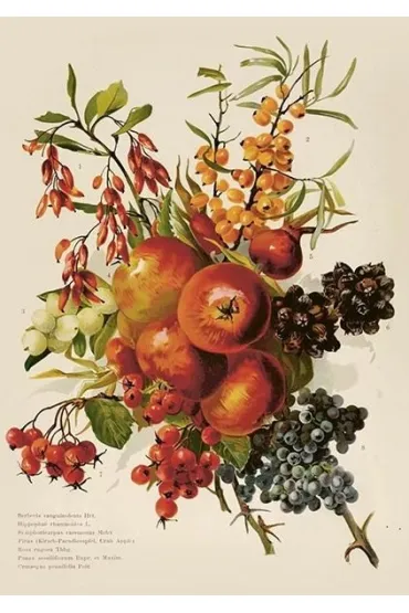 Karnet ST515 B6 + koperta Jesienny bukiet