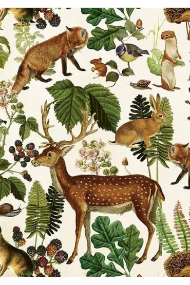 Karnet ST515 B6 + koperta Leśne zwierzęta