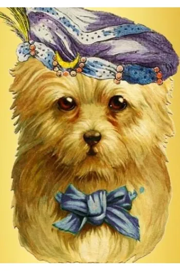 Karnet B6 brokat z kopertą Piesek wróżka