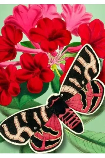 Karnet B6 POP-UP z kopertą Czerwony motyl