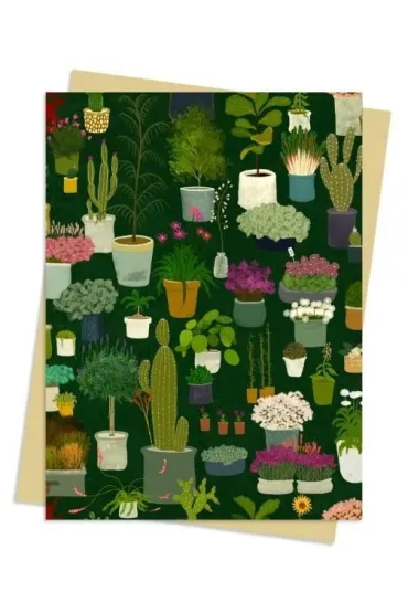 Karnet B6 Kwiaty w doniczkach Katherine Quinn