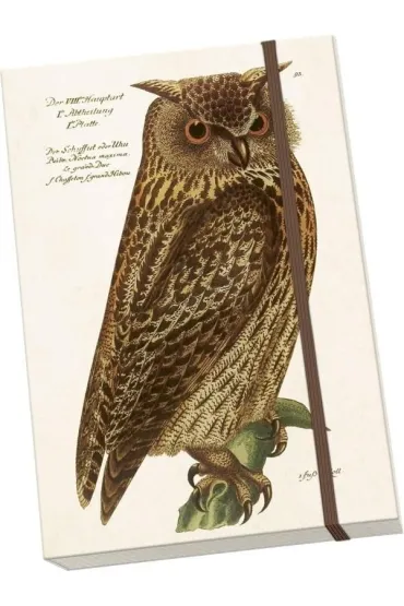 Notatnik ozdobny A5 STNOTE 140 Sowa