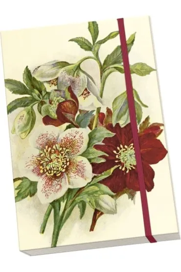 Notatnik ozdobny A5 STNOTE 141 Ciemiernik