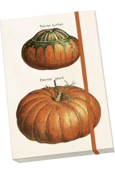 Notatnik ozdobny A5 STNOTE 143 Dynie