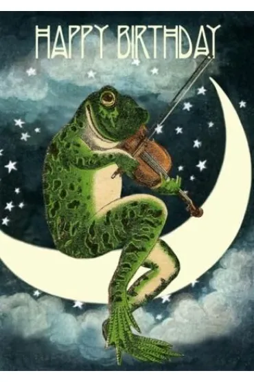 Karnet B6 z kopertą Urodziny Żaba na Księżycu