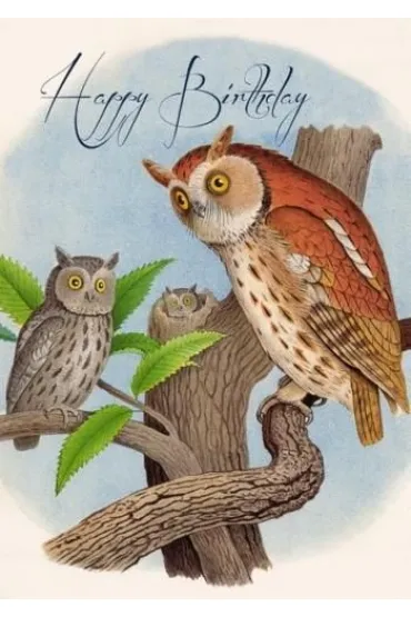 Karnet B6 z kopertą Urodziny Sowy
