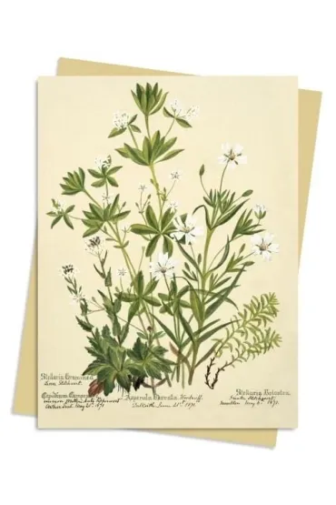 Karnet B6 Kwiaty RBGE Charlotte Cowan Pearson