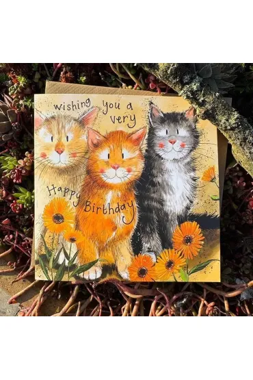 Karnet Urodziny Koty i nagietki