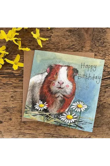 Karnet Urodziny Świnka morska Gordon