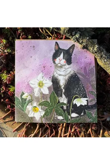 Karnet Kot i ciemierniki