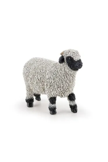 Owca walliserska czarnonosa