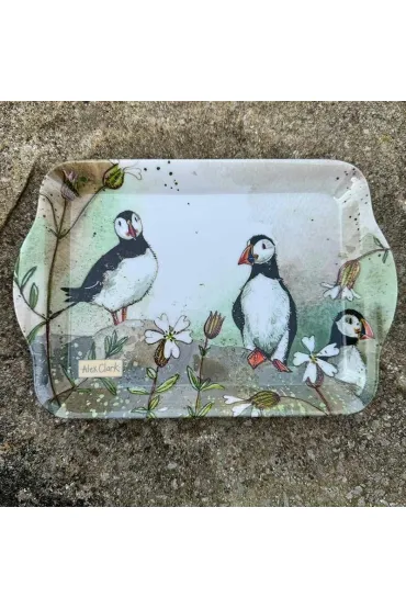 Taca mała Maskonury