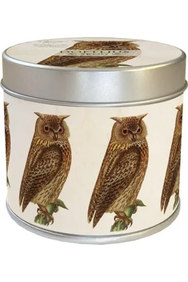 Zapachowa świeczka sowa - zapach leśny