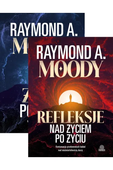 Pakiet: Życie po życiu, Refleksje nad życiem po życiu