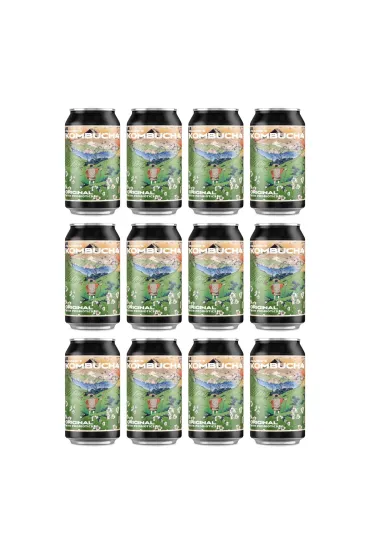 Kombucha Original Zestaw