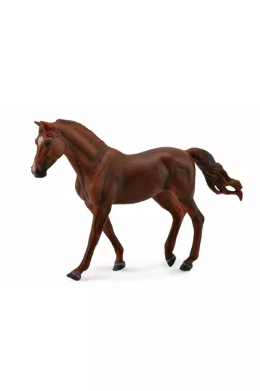 Koń Missouri Trotte Mare kasztanowaty