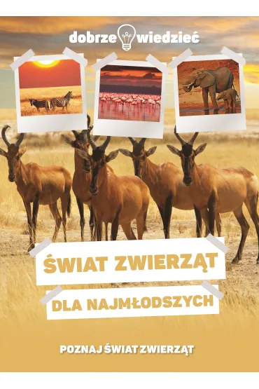 Świat zwierząt dla najmłodszych